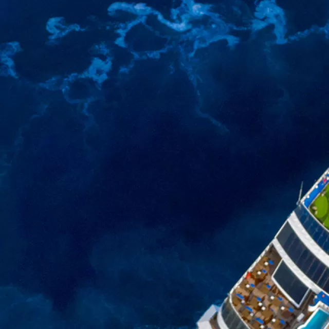 Preferred Travel & Company