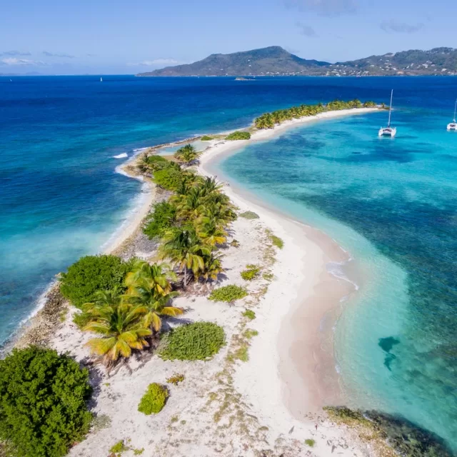 Preferred Travel & Company