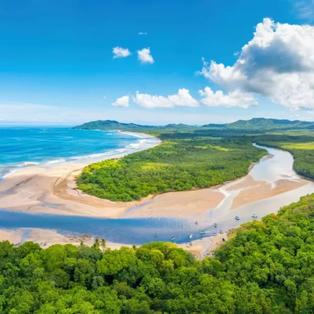 Central & South America